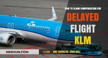 Delayed KLM Flight? Here's How to Claim Your Compensation