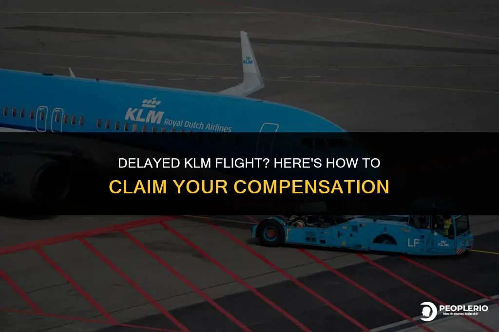 how to claim compensation for delayed flight klm
