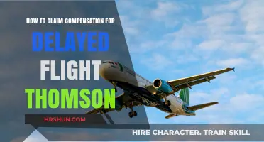 Claiming Compensation for Delayed Flights with Thomson Airways