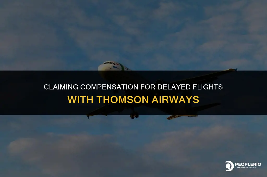 how to claim compensation for delayed flight thomson