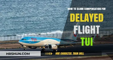 Claiming Compensation for Delayed TUI Flights: A Step-by-Step Guide