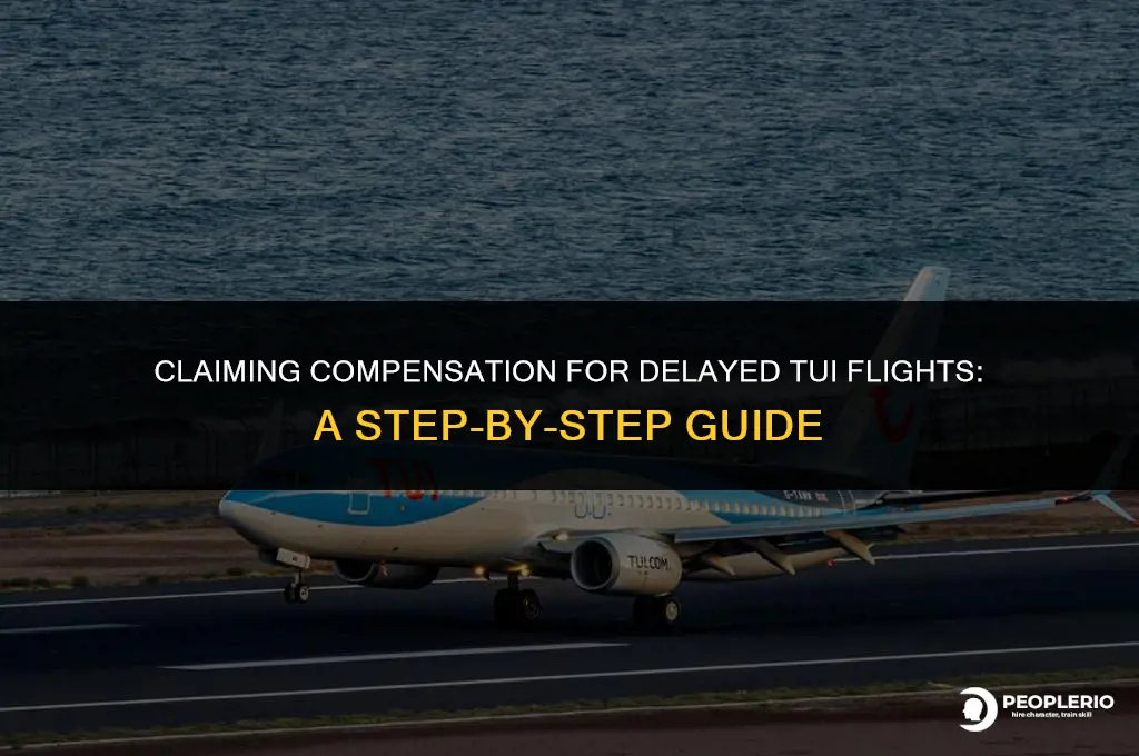 how to claim compensation for delayed flight tui