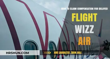 Claiming Compensation for Delayed Wizz Air Flights: A Step-by-Step Guide