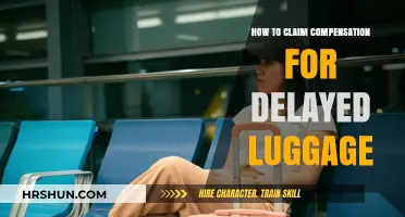 Delayed Luggage Dilemma: Your Guide to Claiming Compensation Hassle-Free