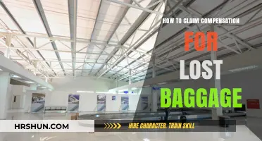 Navigating the Process: Claiming Compensation for Lost Baggage