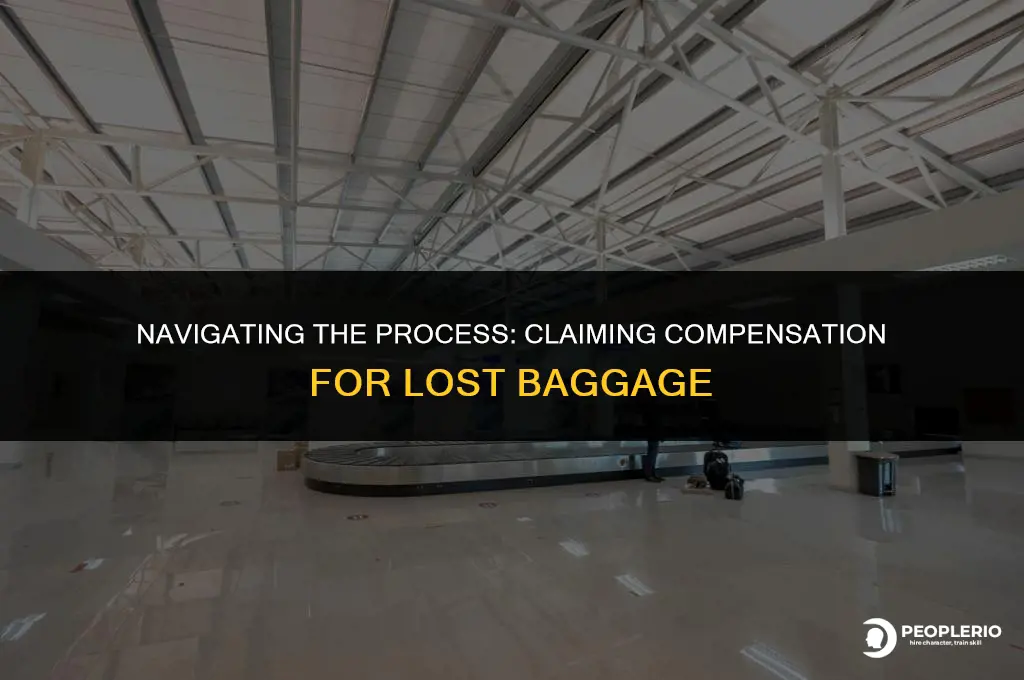 how to claim compensation for lost baggage