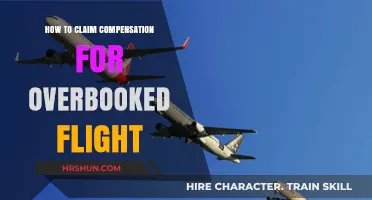 Navigating Overbooked Flights: Your Guide to Claiming Compensation