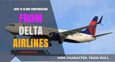 Navigating Delta Airlines Compensation Claims: A Passenger's Guide