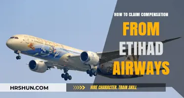 Navigating Etihad Airways Compensation Claims: A Passenger's Guide