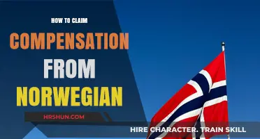 Navigating Compensation Claims Against Norwegian: A Comprehensive Guide