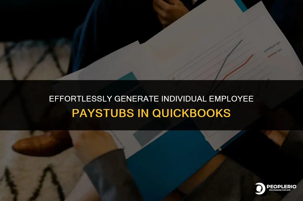 how to create individual employee paystub report in qb