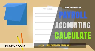 Mastering Labor Payroll Accounting: A Step-by-Step Guide