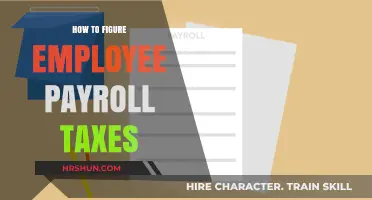 Mastering Employee Payroll Taxes: A Step-by-Step Guide for Employers