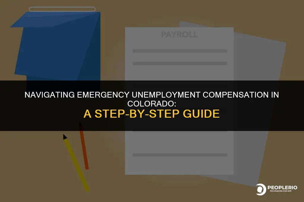how to file for emergency unemployment compensation in colorado
