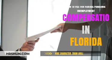 Navigating Florida's Federal Pandemic Unemployment Compensation: A Step-by-Step Guide