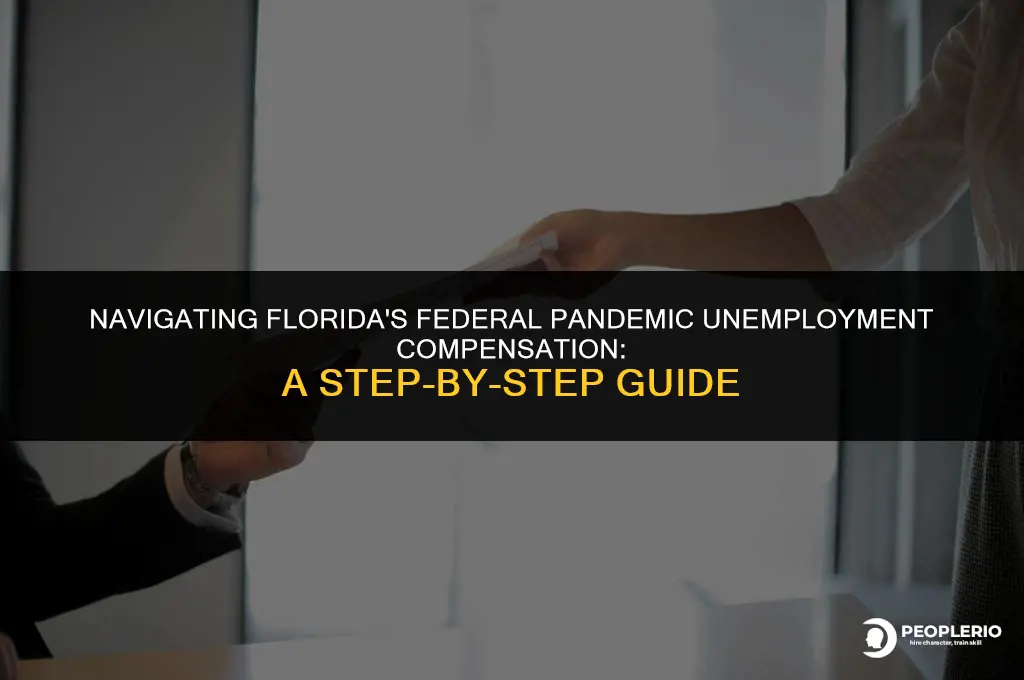 how to file for federal pandemic unemployment compensation in Florida