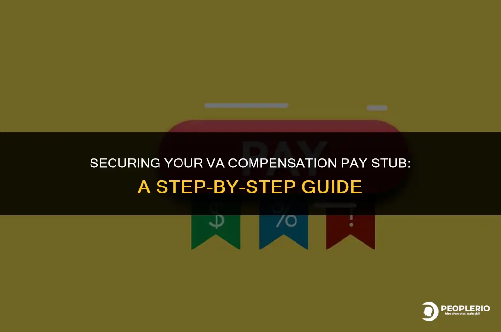 how to get a pay stub for va compensation