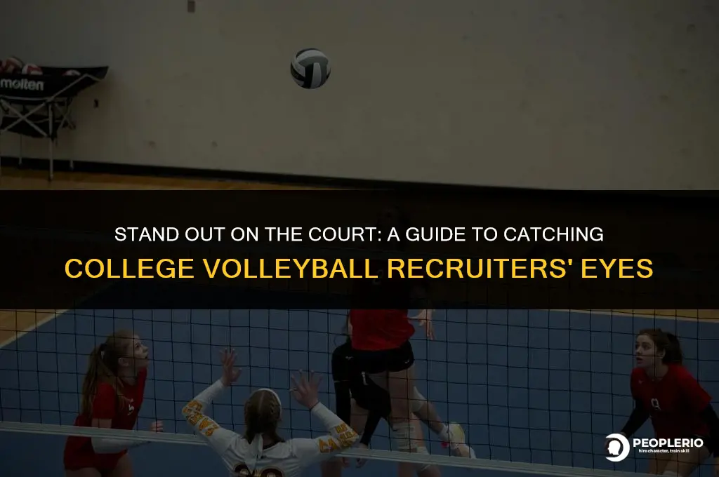 how to get noticed by college volleyball recruiters