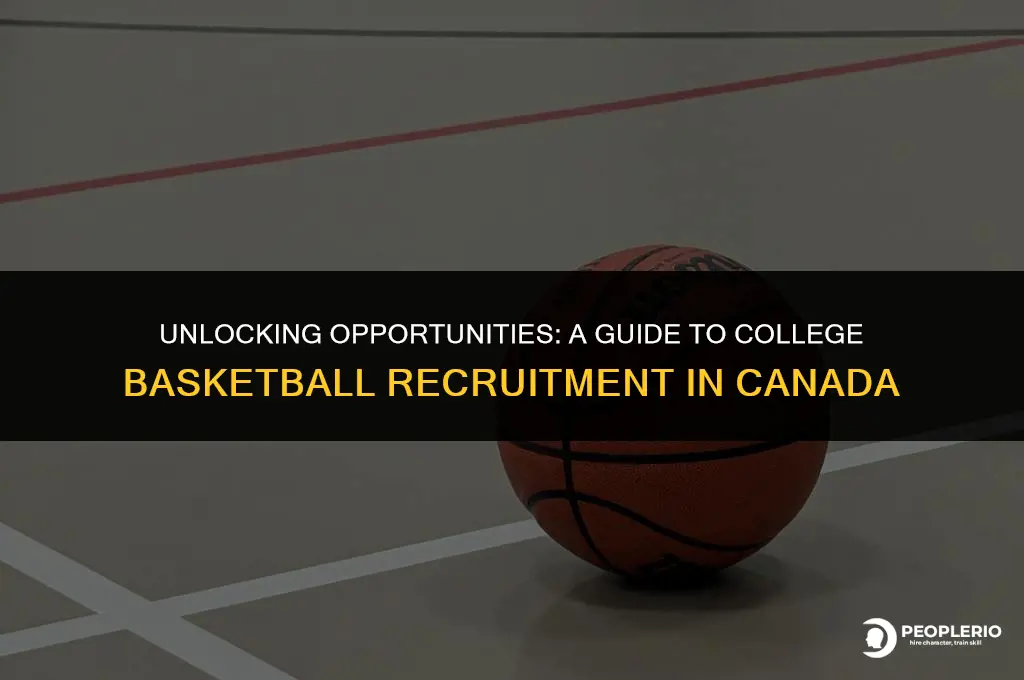 how to get recruited for college basketball in canada