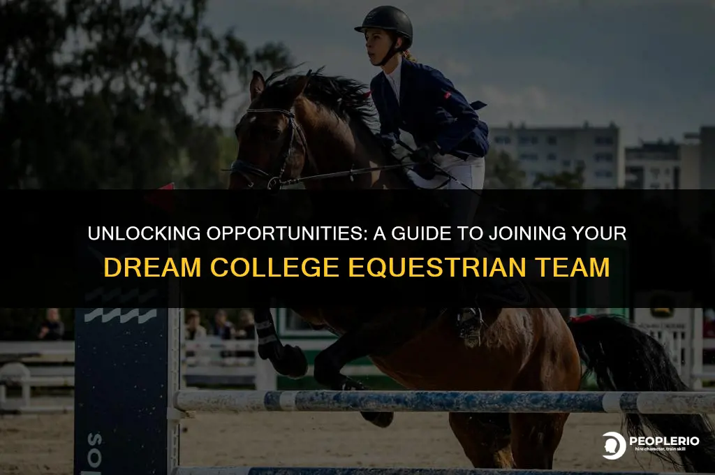 how to get recruited for college equestrian team