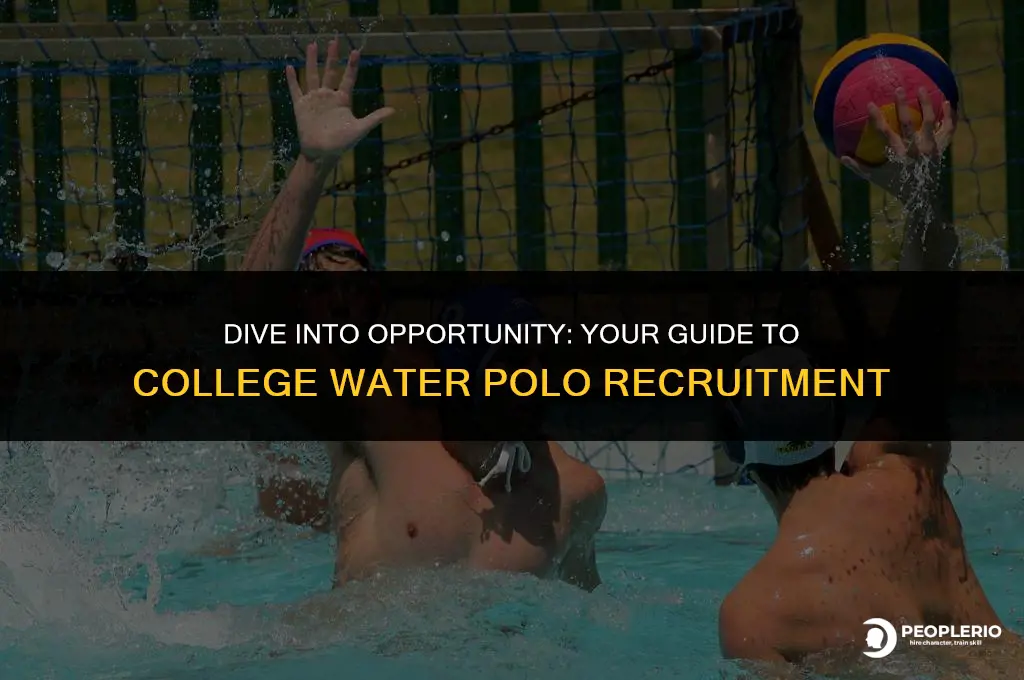 how to get recruited for college water polo