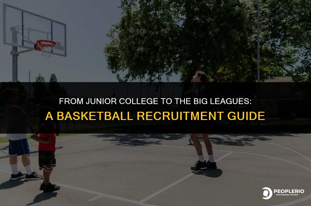 how to get recruited out of junior college for basketball