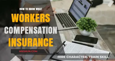 Understanding Workers' Compensation Insurance: A Comprehensive Guide