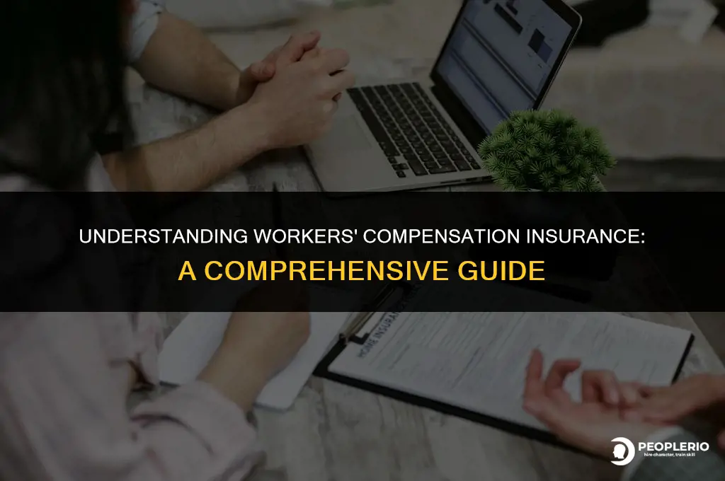how to know what workers compensation insurance