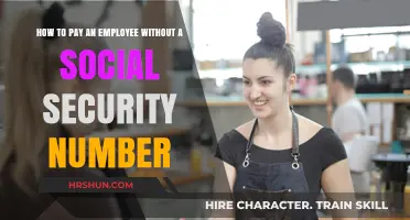 Paying Employees Without Social Security Numbers: A Comprehensive Guide