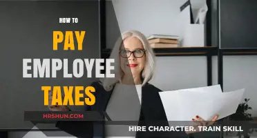 Navigating Employee Taxes: A Comprehensive Guide for Employers