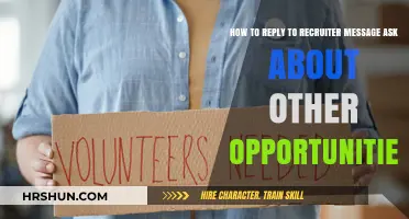 Navigating Recruiter Outreach: How to Respond to 'Other Opportunities' Queries