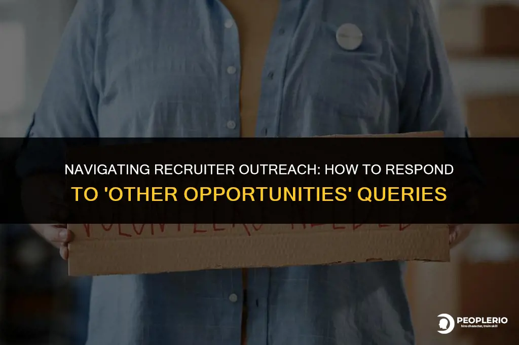 how to reply to recruiter message ask about other opportunities