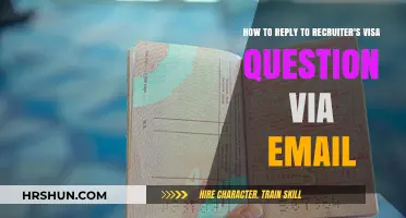Navigating Visa Queries: Crafting a Professional Response to Recruiters