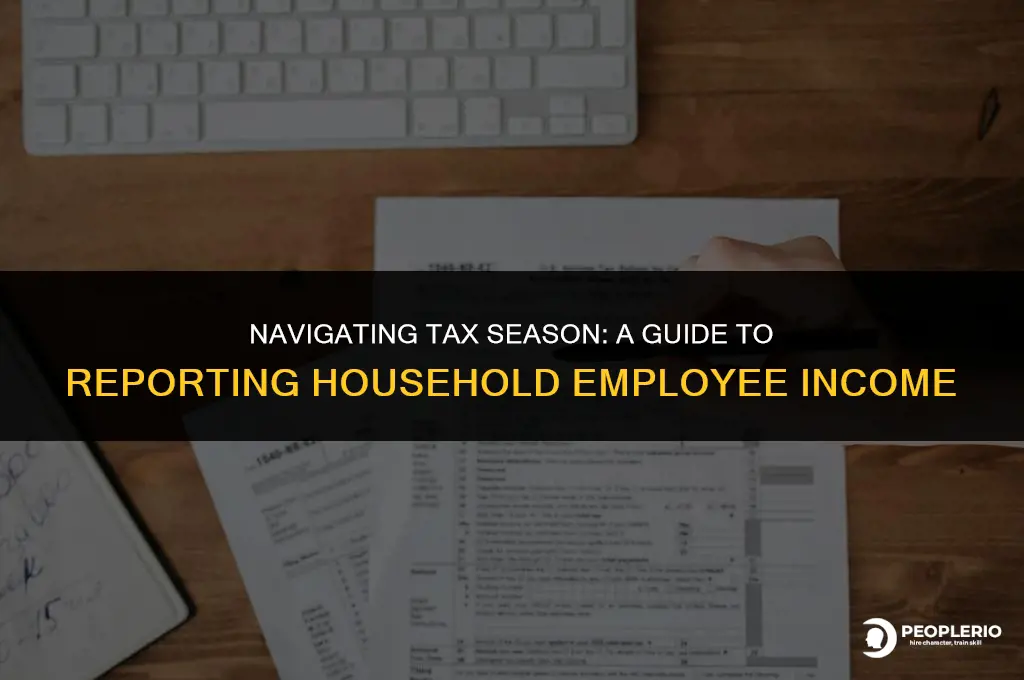 how to report household employee income