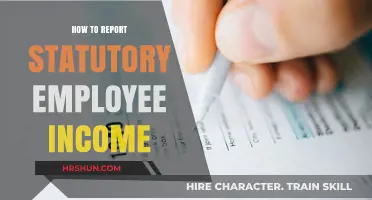 Understanding Statutory Employee Income Reporting: A Comprehensive Guide