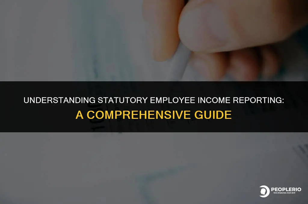 how to report statutory employee income