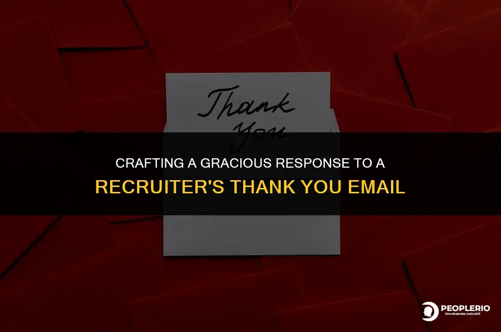 how to respond recruiter email about thanks for insteresting