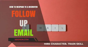Crafting the Perfect Response to a Recruiter's Follow-Up Email