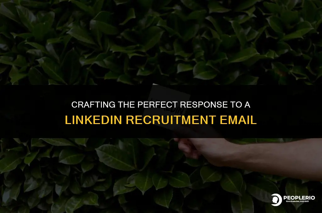 how to respond to a recruitment email linkedin