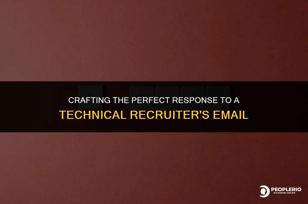 how to respond to a technical recruiter email