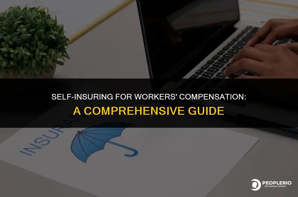 how to self insure for workers compensation