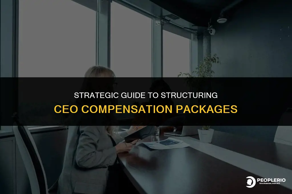 how to set up a ceo compensation pay