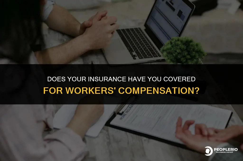 how to tell if your insurance covers workers compensation
