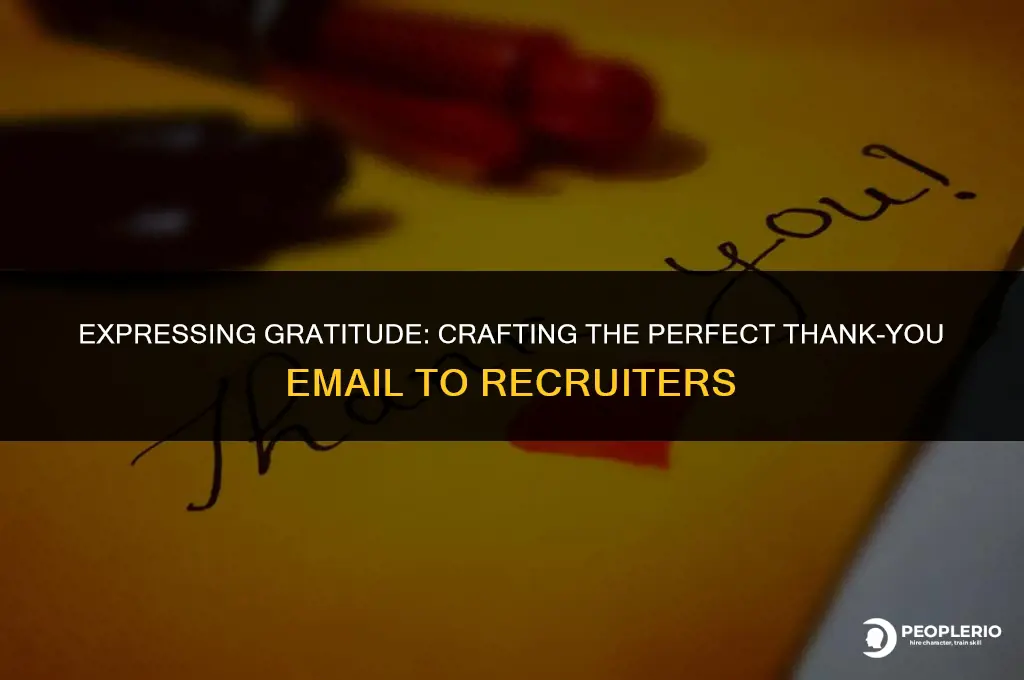 how to thank a recruiter via email for reaching out