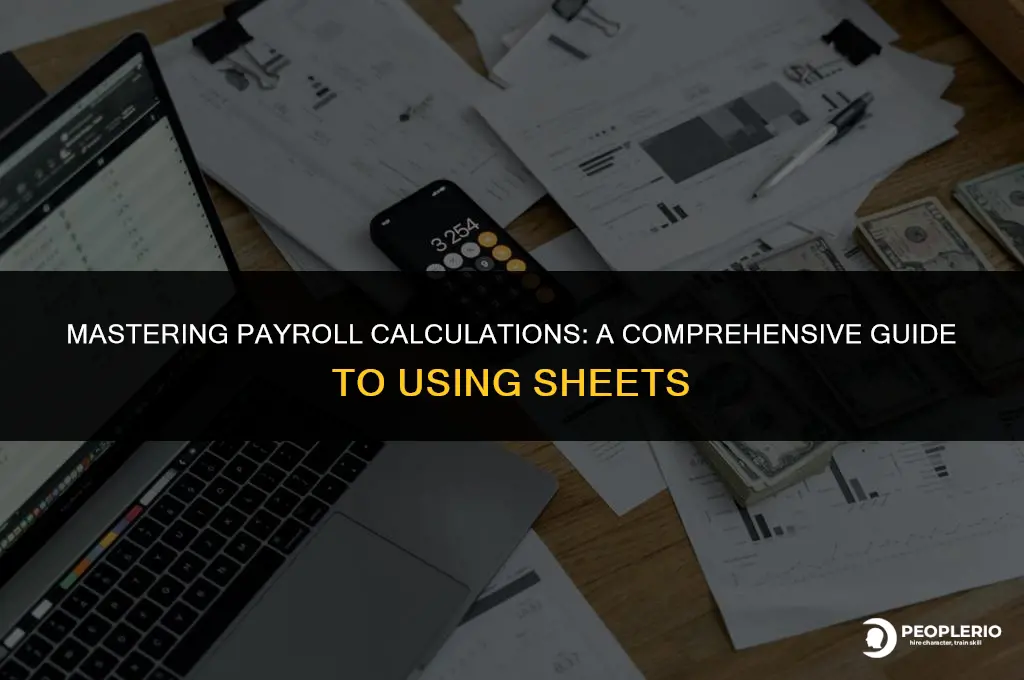 how to use sheet for payroll calculations
