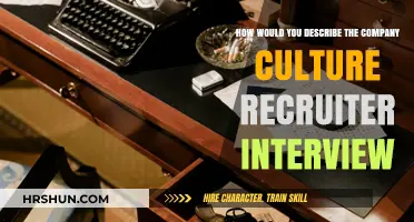 Decoding Company Culture: Insights from a Recruiter's Perspective