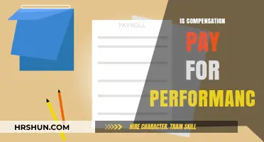 Decoding Compensation: The Performance Pay Paradigm