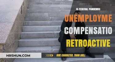 Understanding Retroactive Federal Pandemic Unemployment Compensation