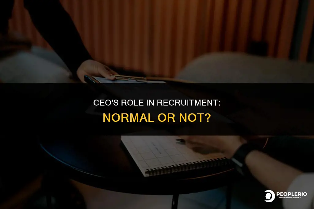 is it normal for tye ceo to recruit and interview