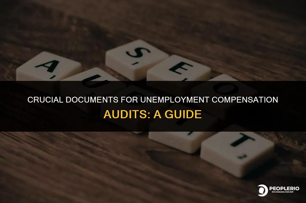 is needed in an unemployment compensation audit